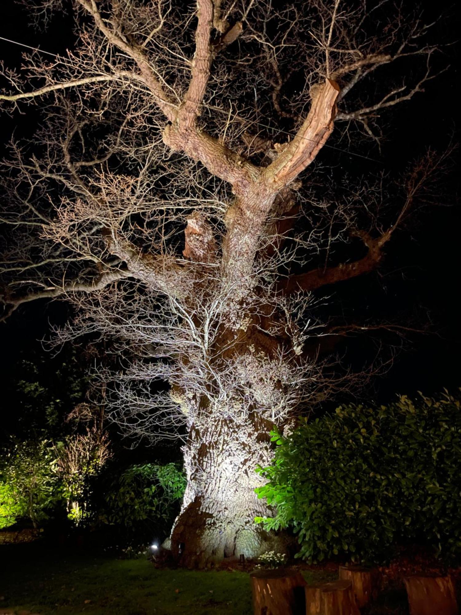 Oak Tree Hideaway Βίλα Whitchurch  Εξωτερικό φωτογραφία